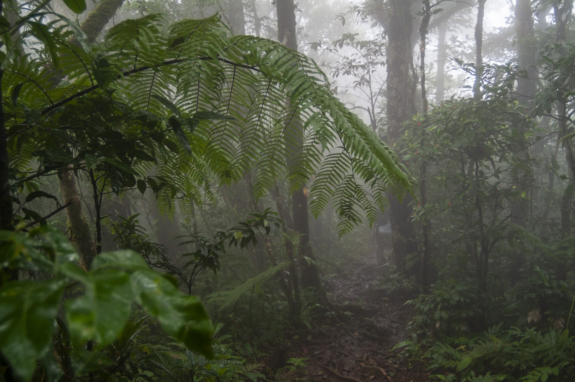 cloud habitat slideshow