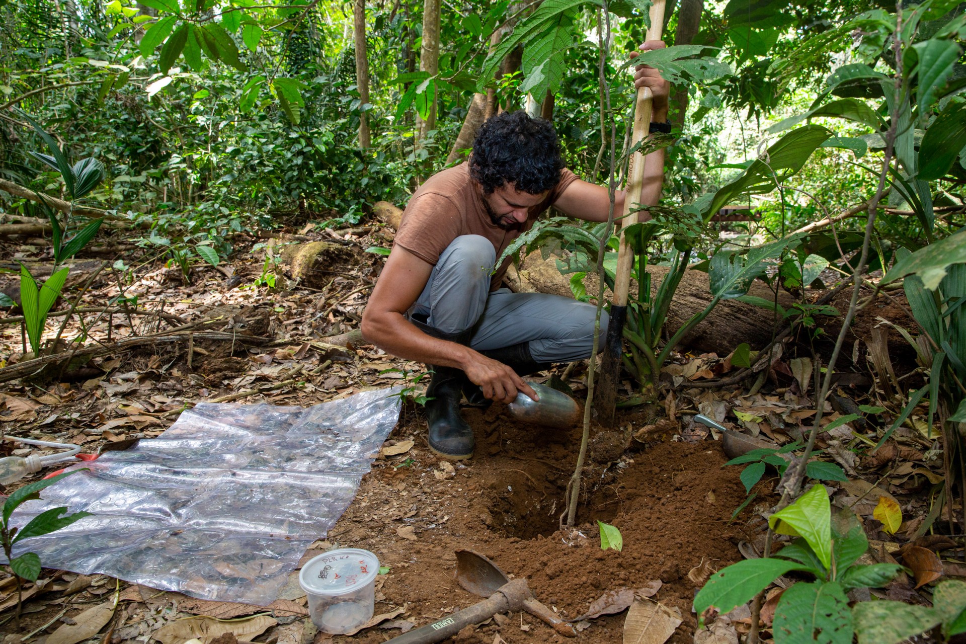 Smithsonian Tropical Research Institute