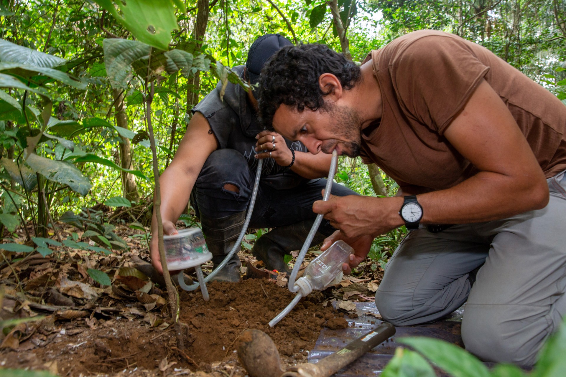 Smithsonian Tropical Research Institute