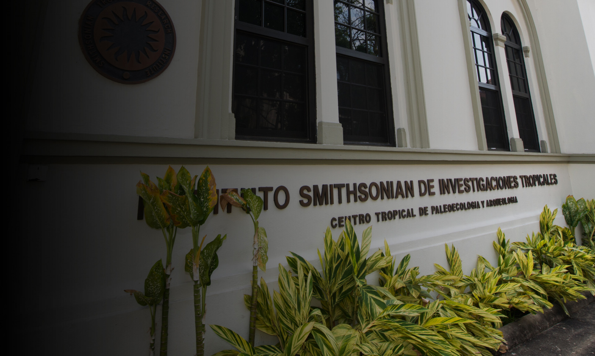 Ancón is renovated and named the Center for Tropical Paleoecology and Archaeology Ancón is renovated and named the Center for Tropical Paleoecology and Archaeology