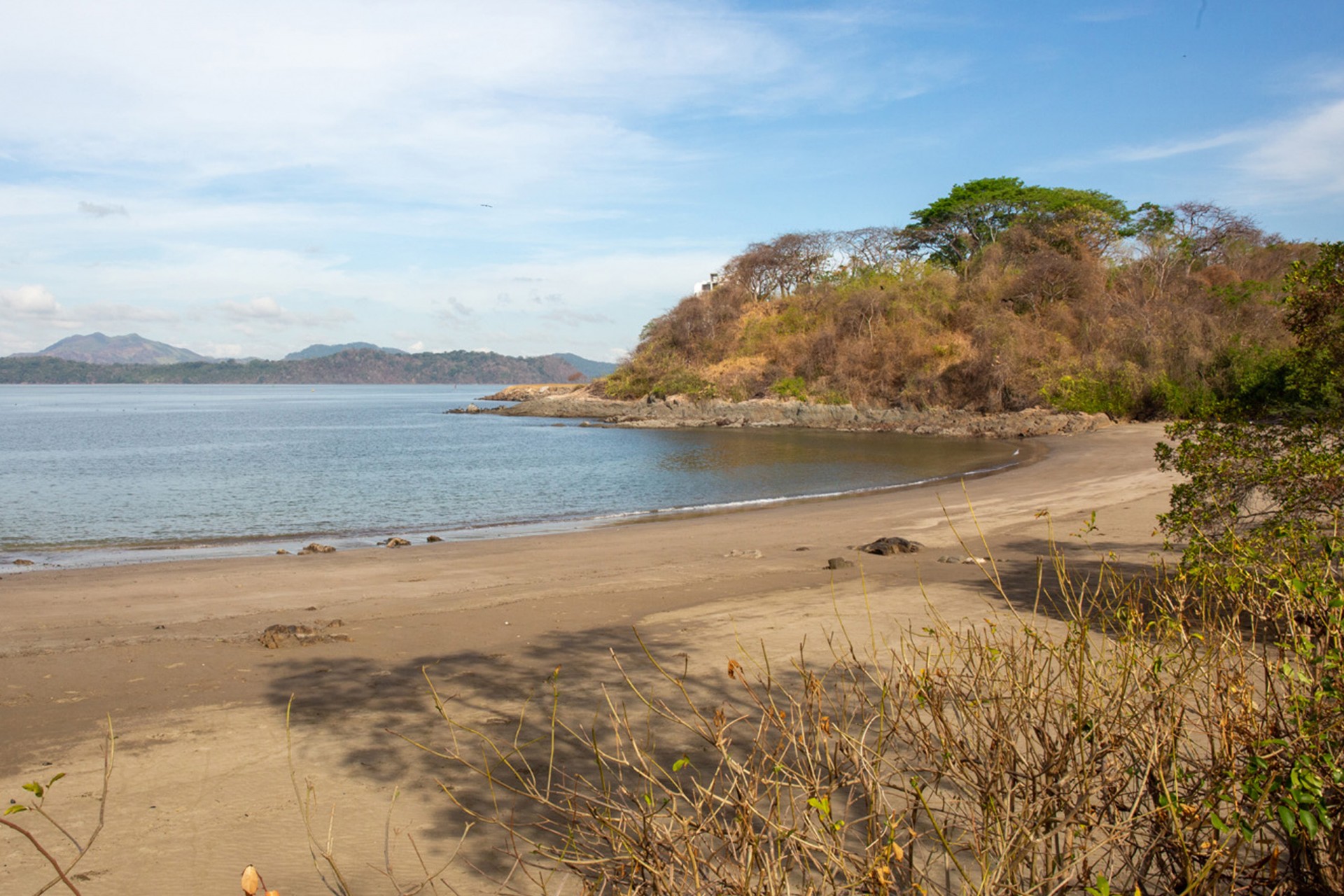 Smithsonian Tropical Research Institute