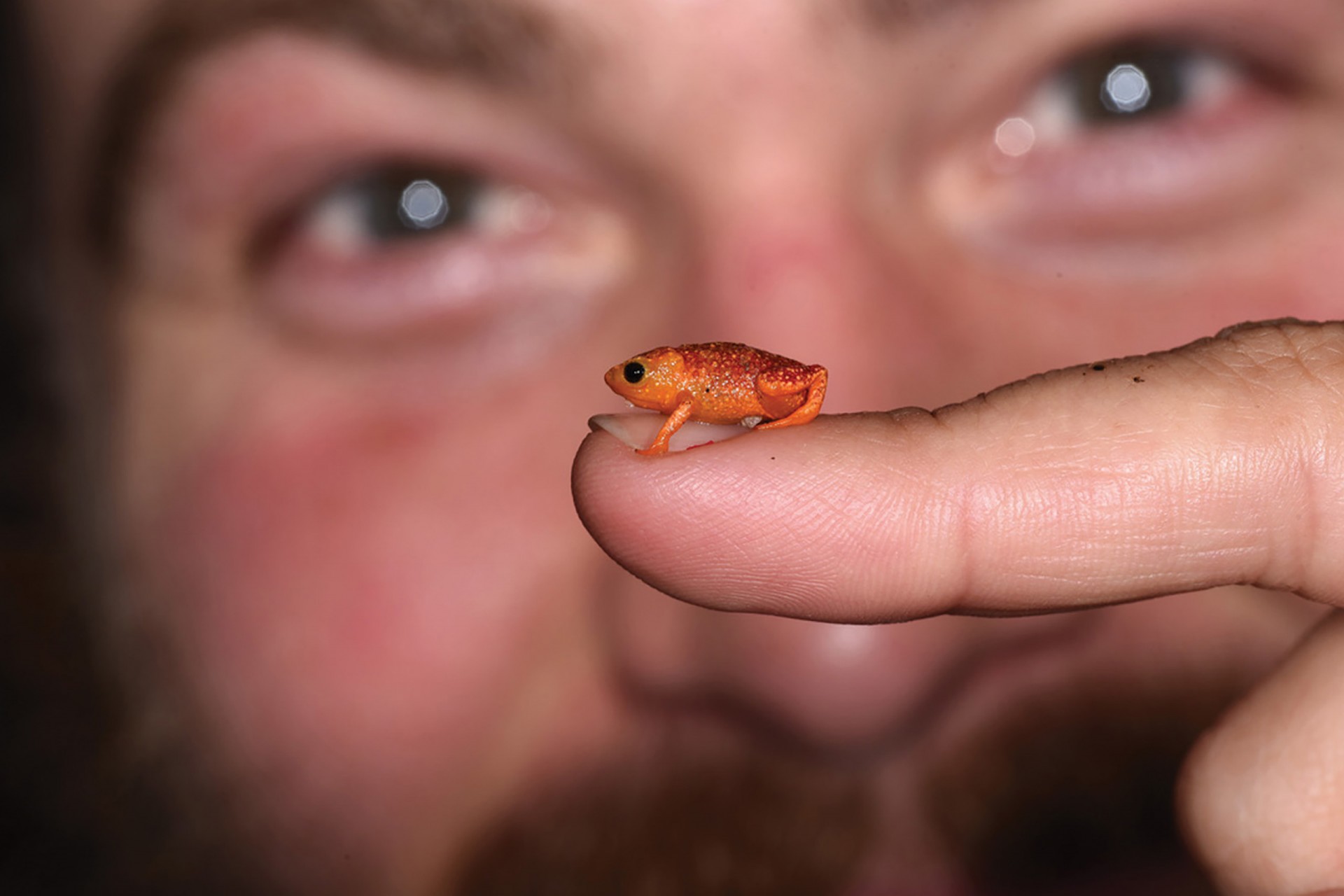 STRI postdoctoral fellow Jordan Kueneman