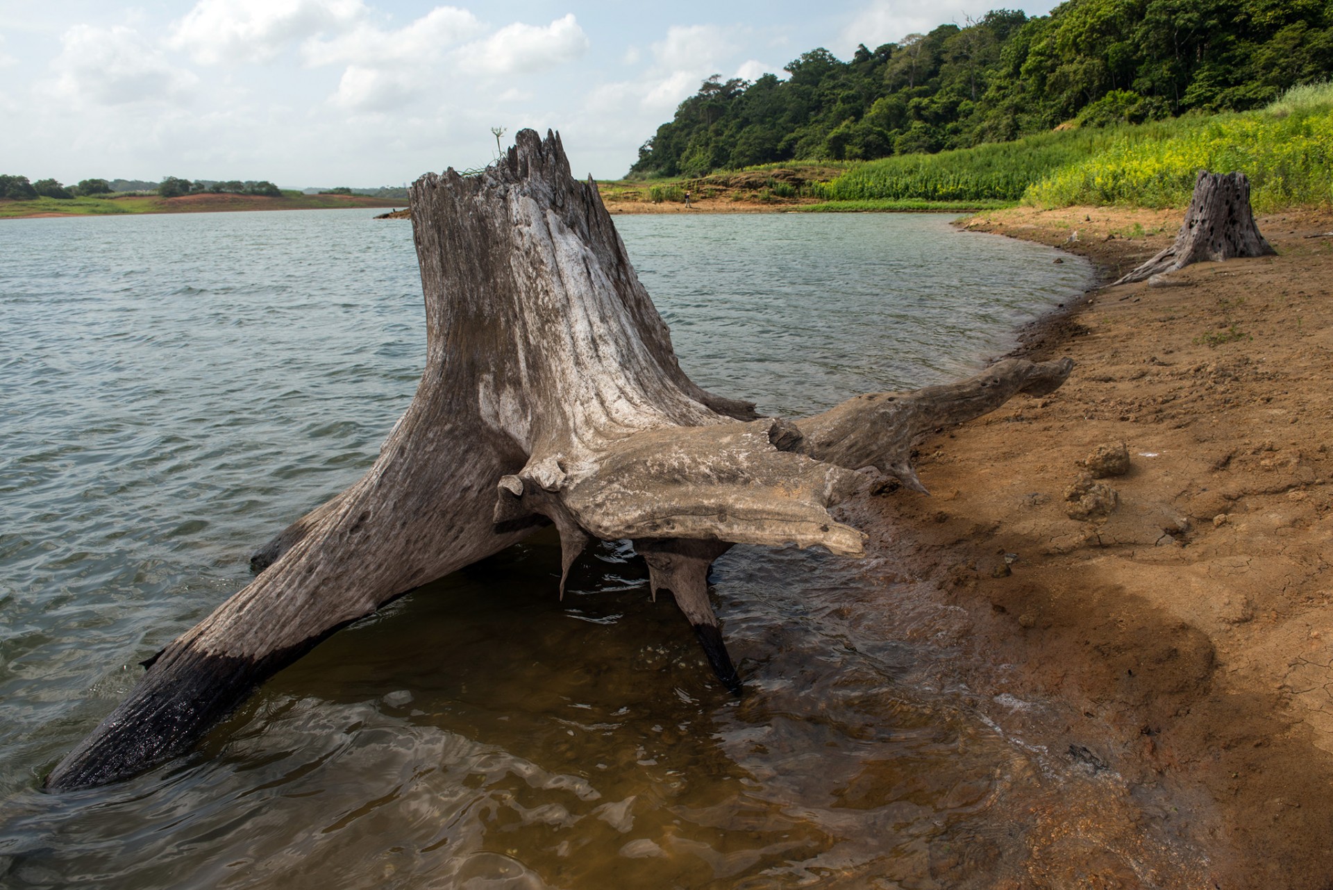 El Niño event in 2015 and 2016
