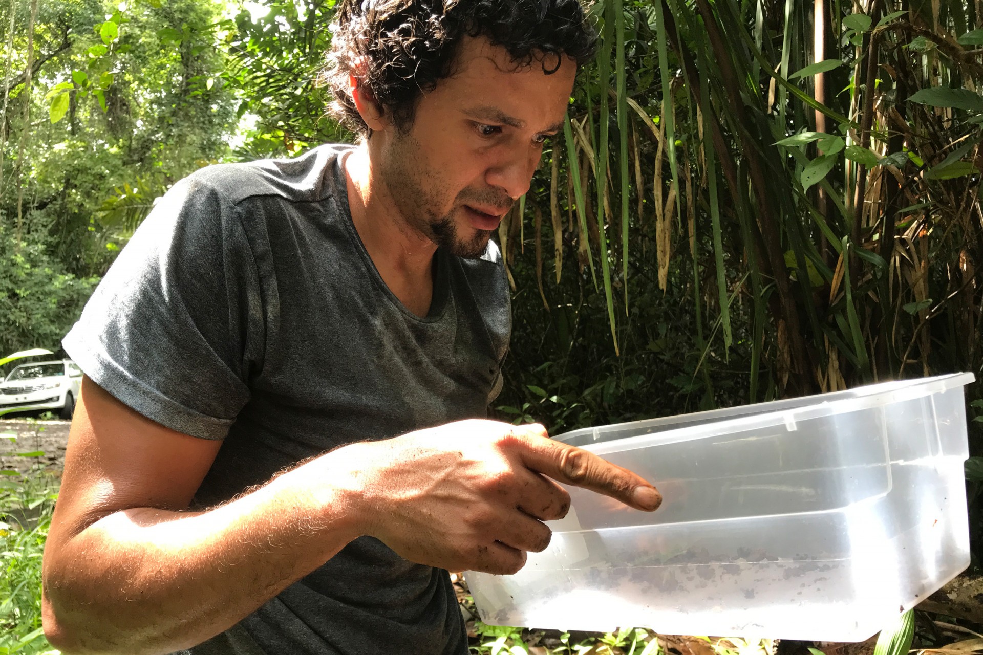 Smithsonian Tropical Research Institute