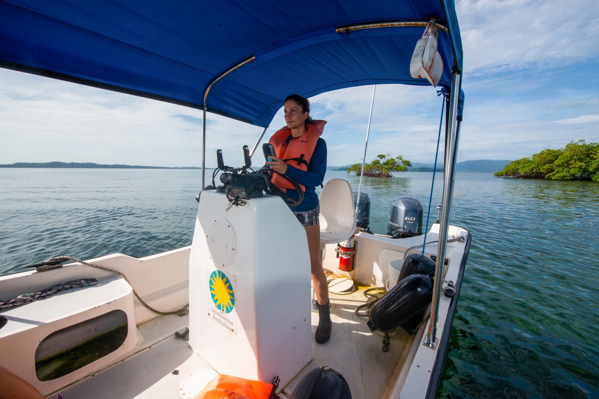 Constant change drives local ecosystems