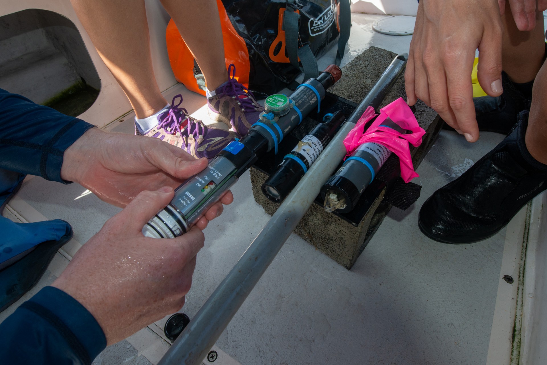 Constant change drives local ecosystems