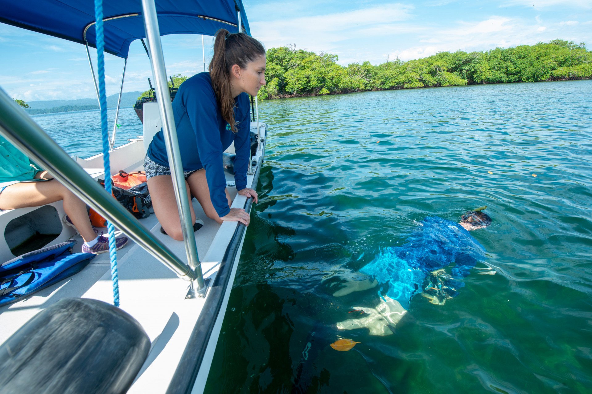 Constant change drives local ecosystems