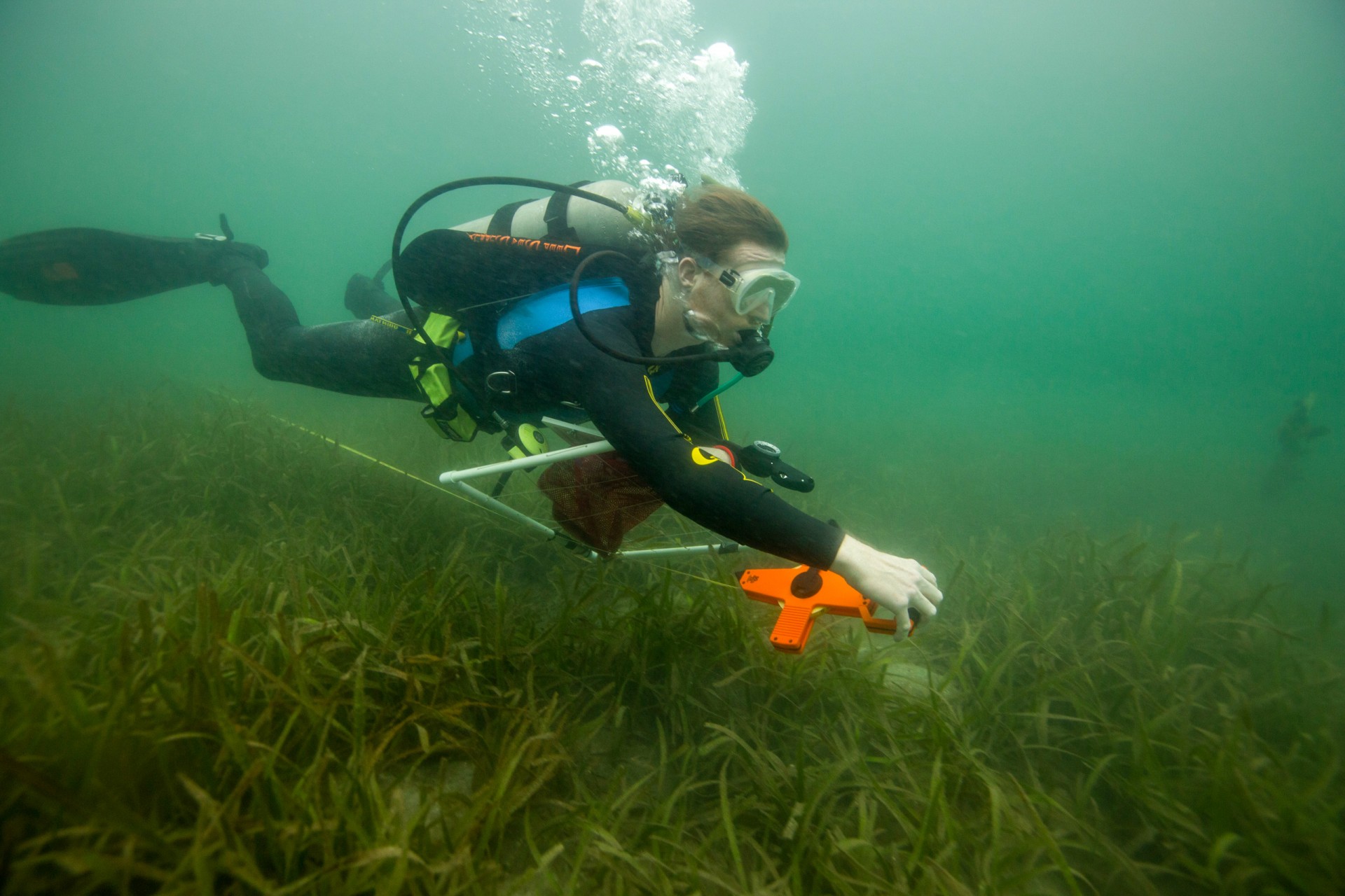Constant change drives local ecosystems