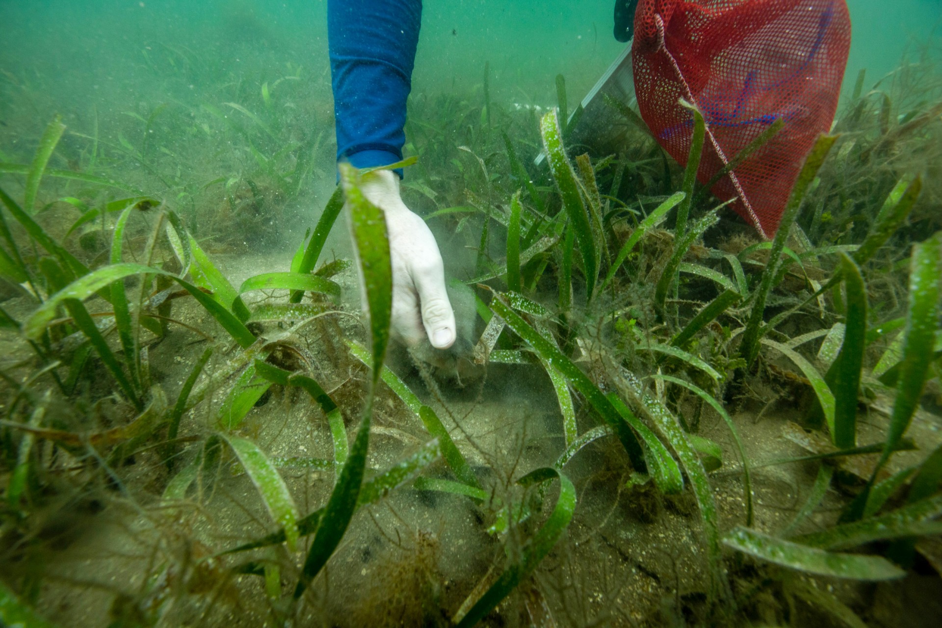 Constant change drives local ecosystems