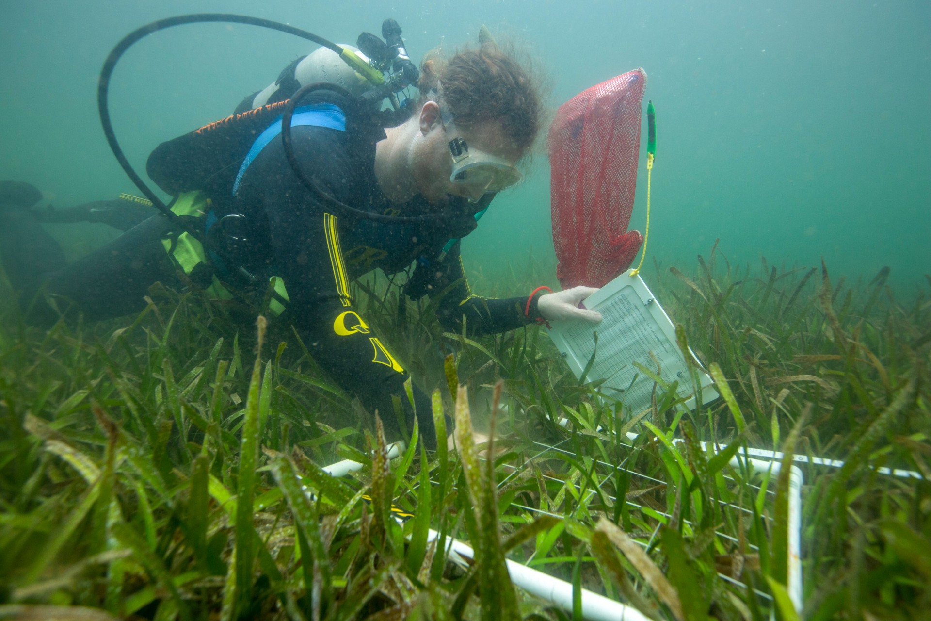 Constant change drives local ecosystems