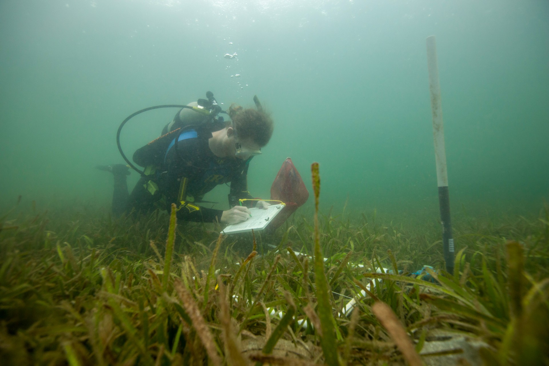 Constant change drives local ecosystems