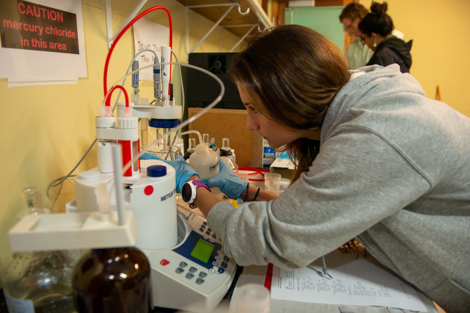 Constant change drives local ecosystems