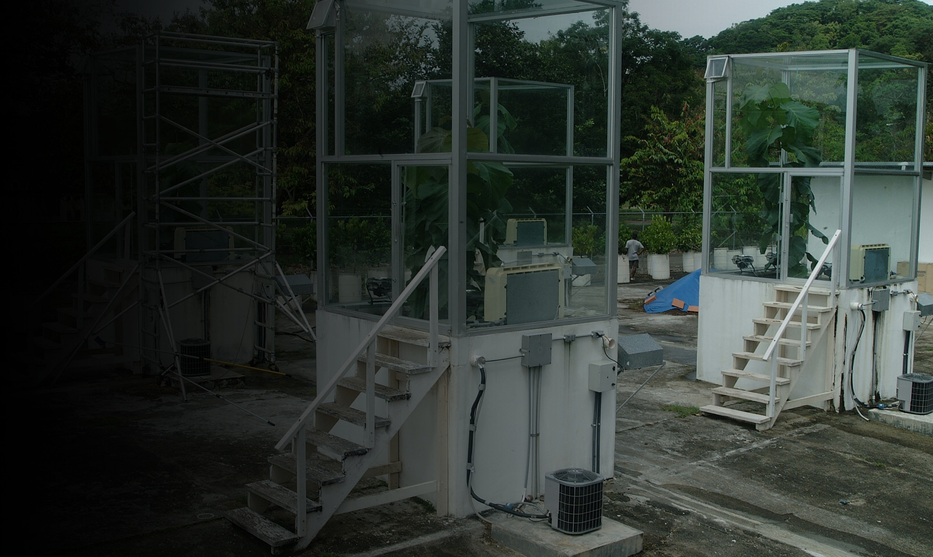 STRI acquires one hectare for outdoor plant physiology research STRI acquires one hectare for outdoor plant physiology research