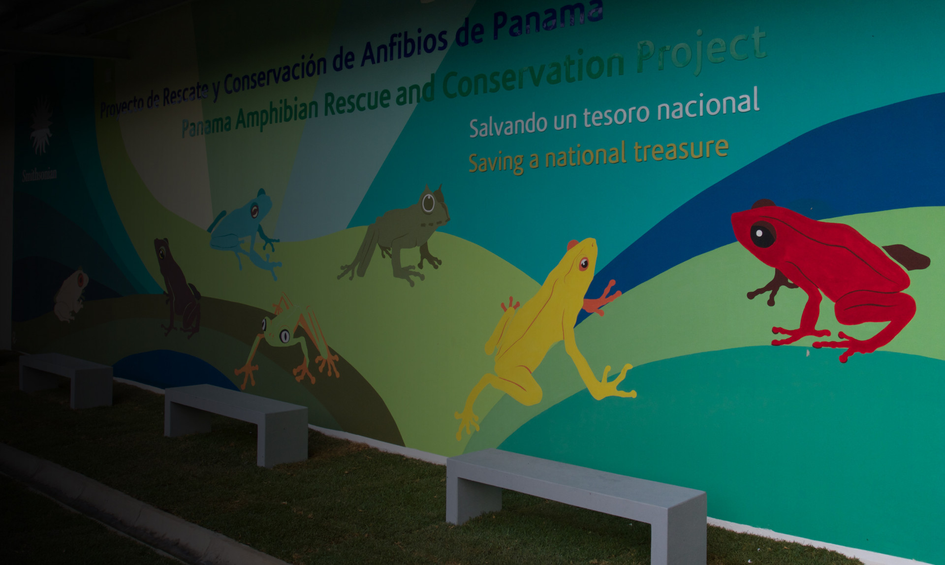 Seven shipping containers are transformed into the Amphibian Research and Conservation Center Seven shipping containers are transformed into the Amphibian Research and Conservation Center