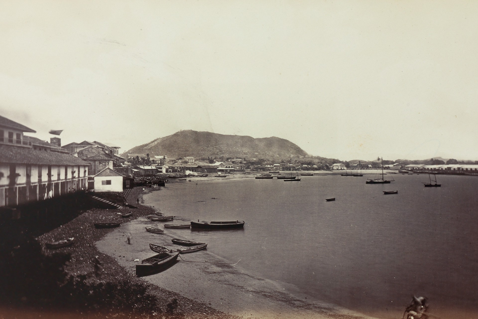 A Bee’s-Eye-View of Panama in the late 1800’s 