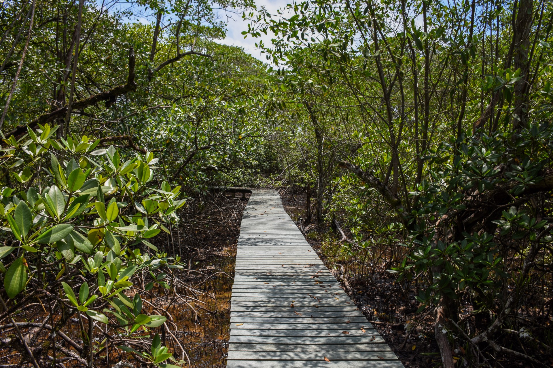 Habitat symbiosis slideshow