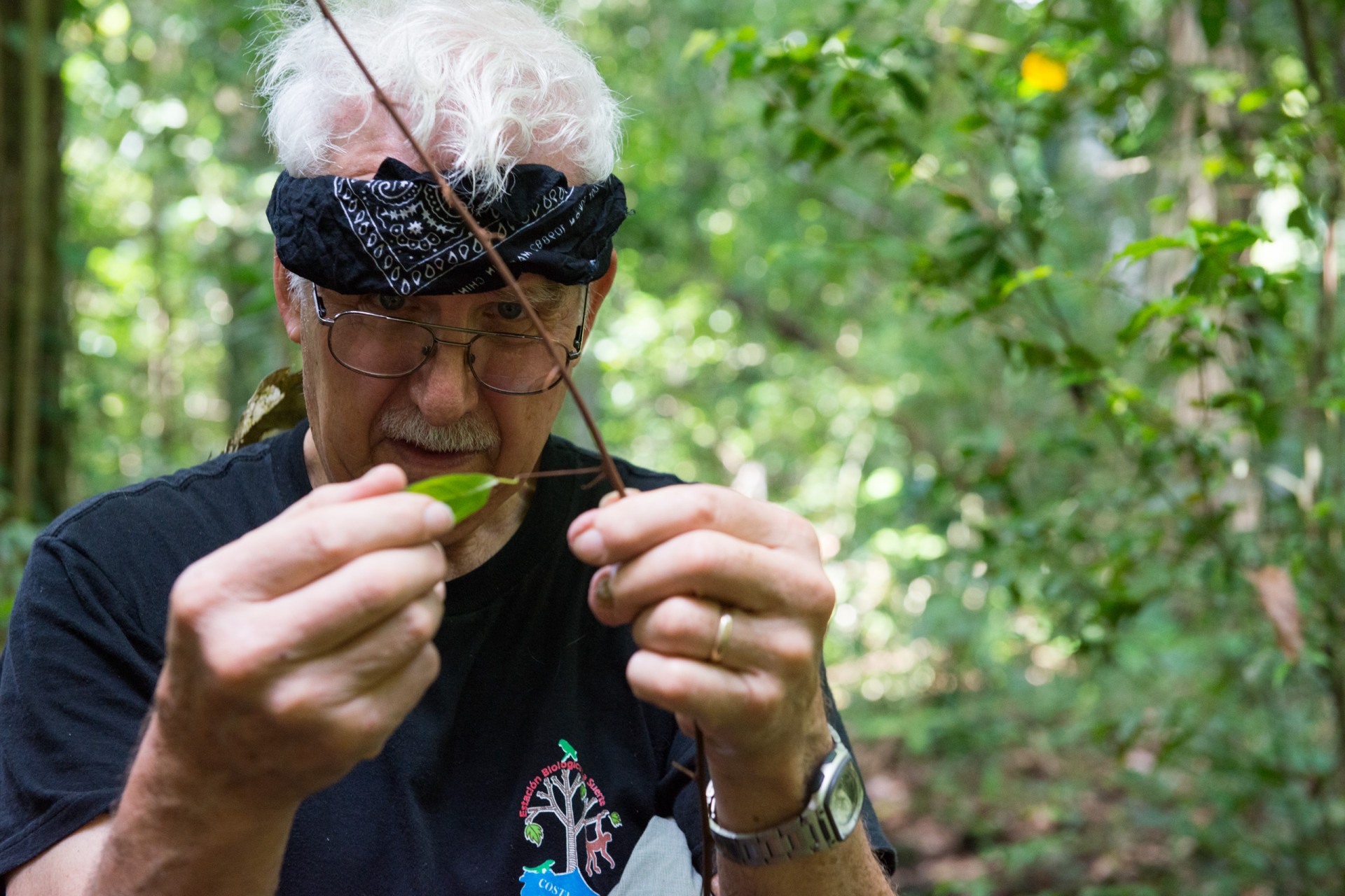 Herbarium of the University of Panama