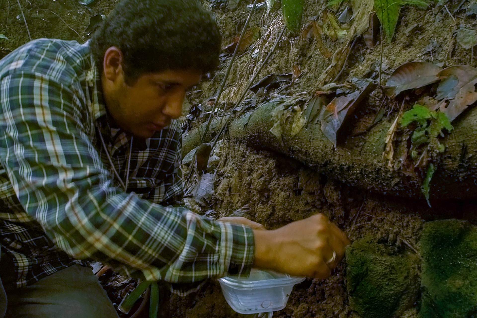 Smithsonian Tropical Research Institute
