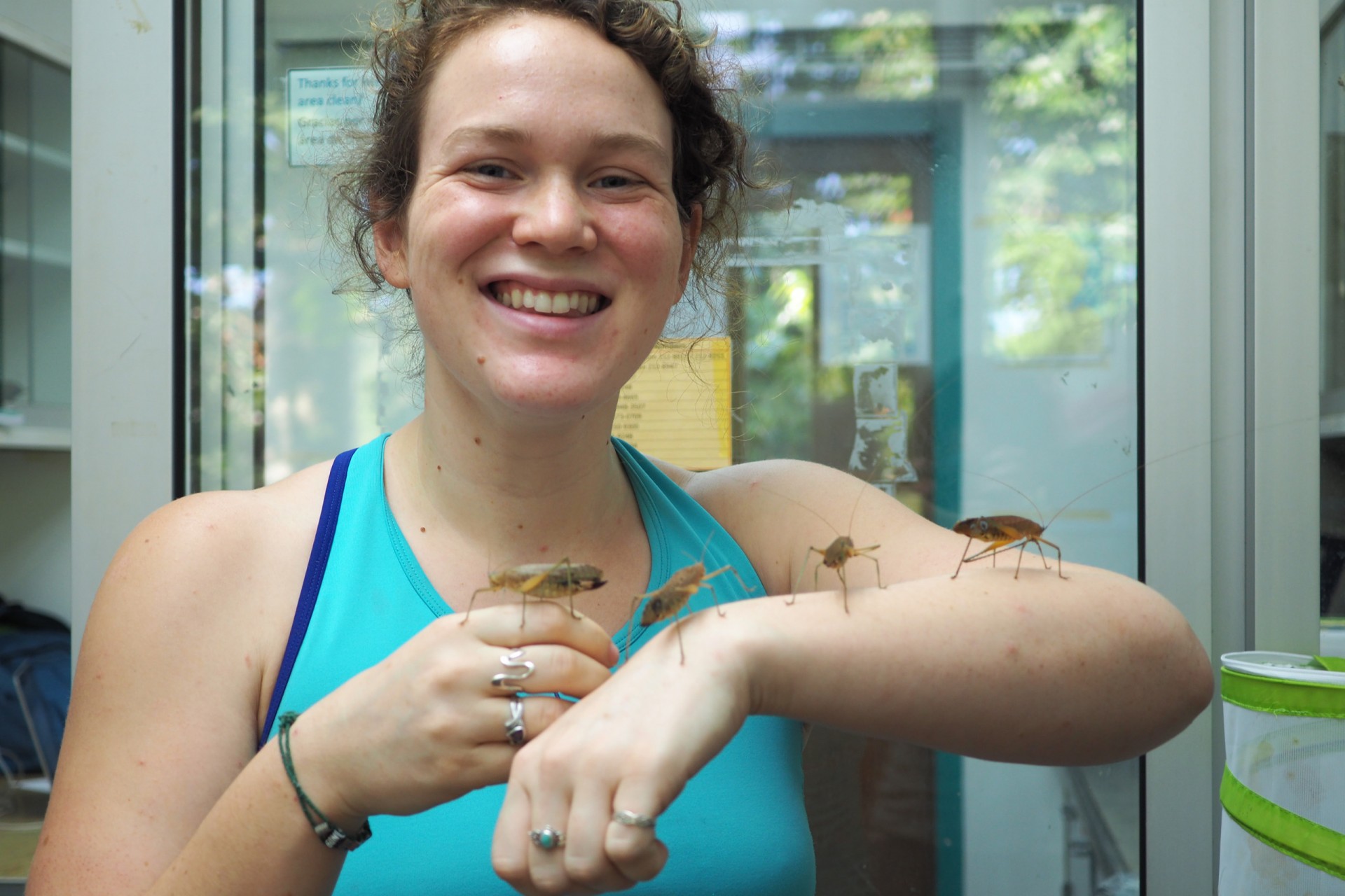 Insects Need Empathy
