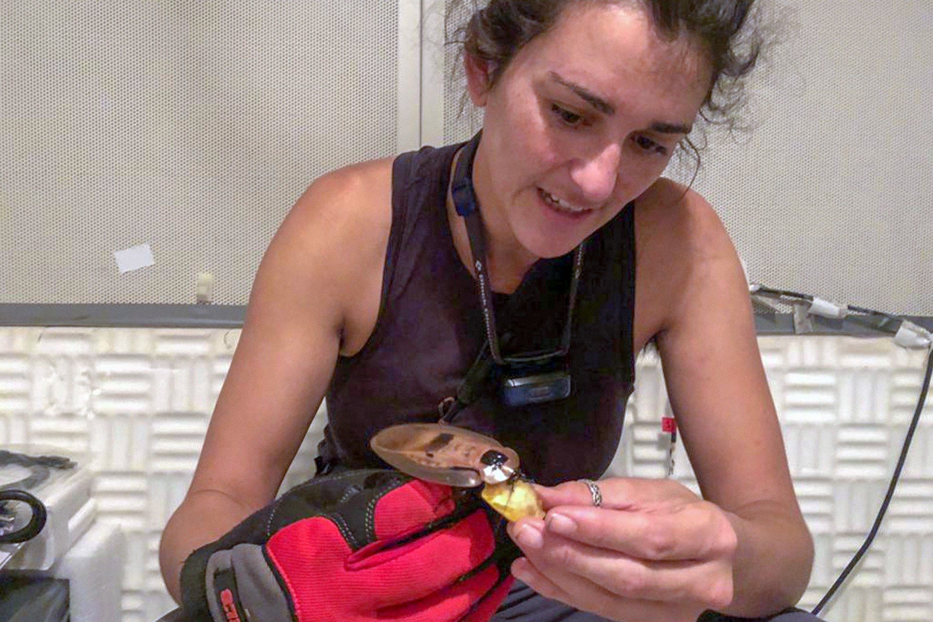Insects Need Empathy