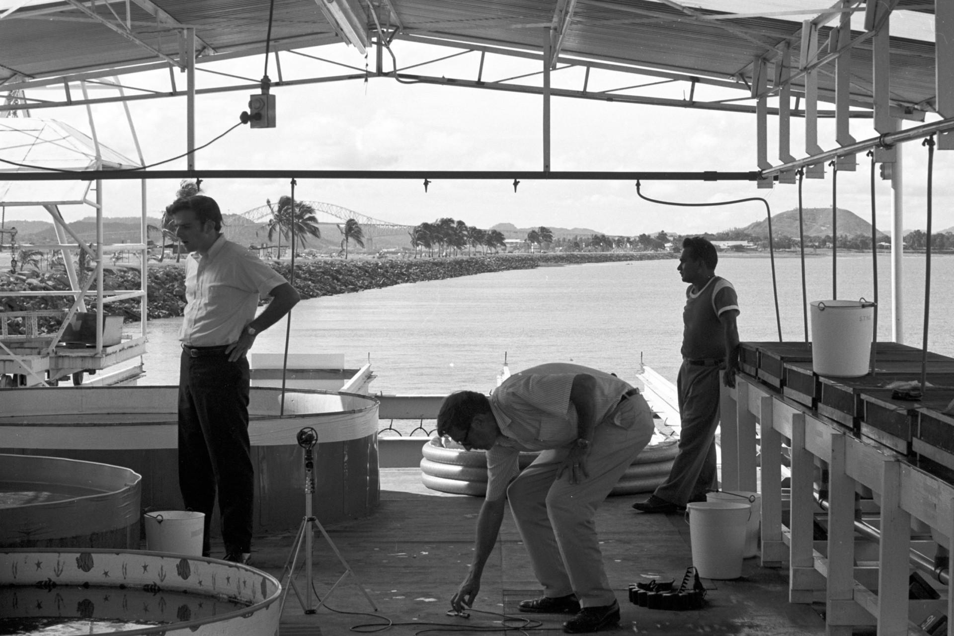 Ira Rubinoff (left) works in the early years of the Naos Island Laboratories