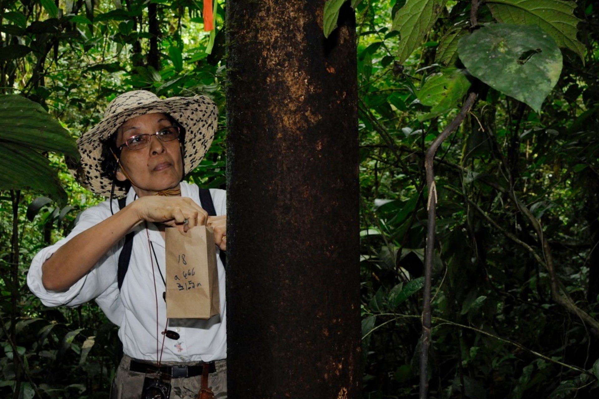 Smithsonian Tropical Research Institute