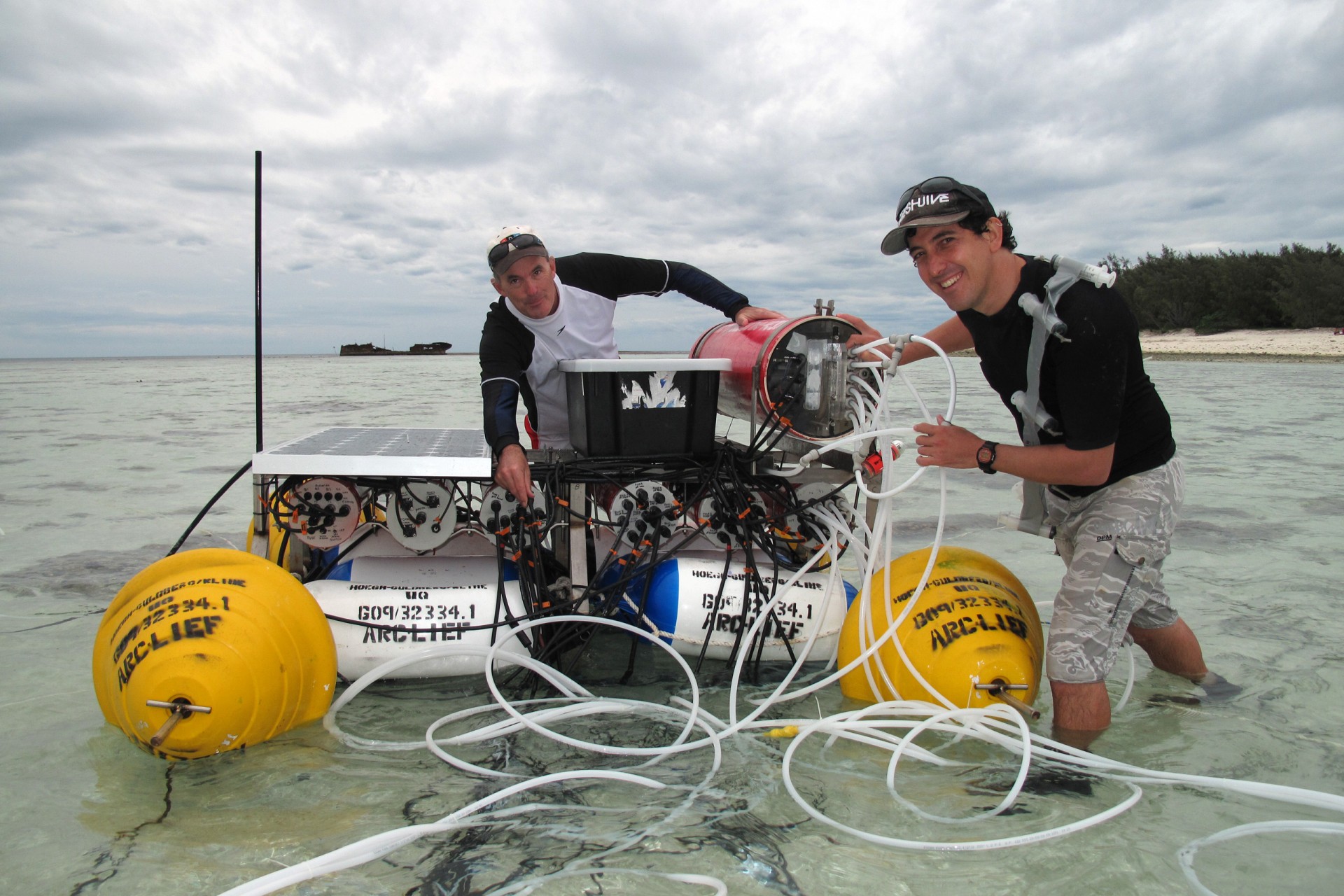 Living coral cover will slow future reef dissolution