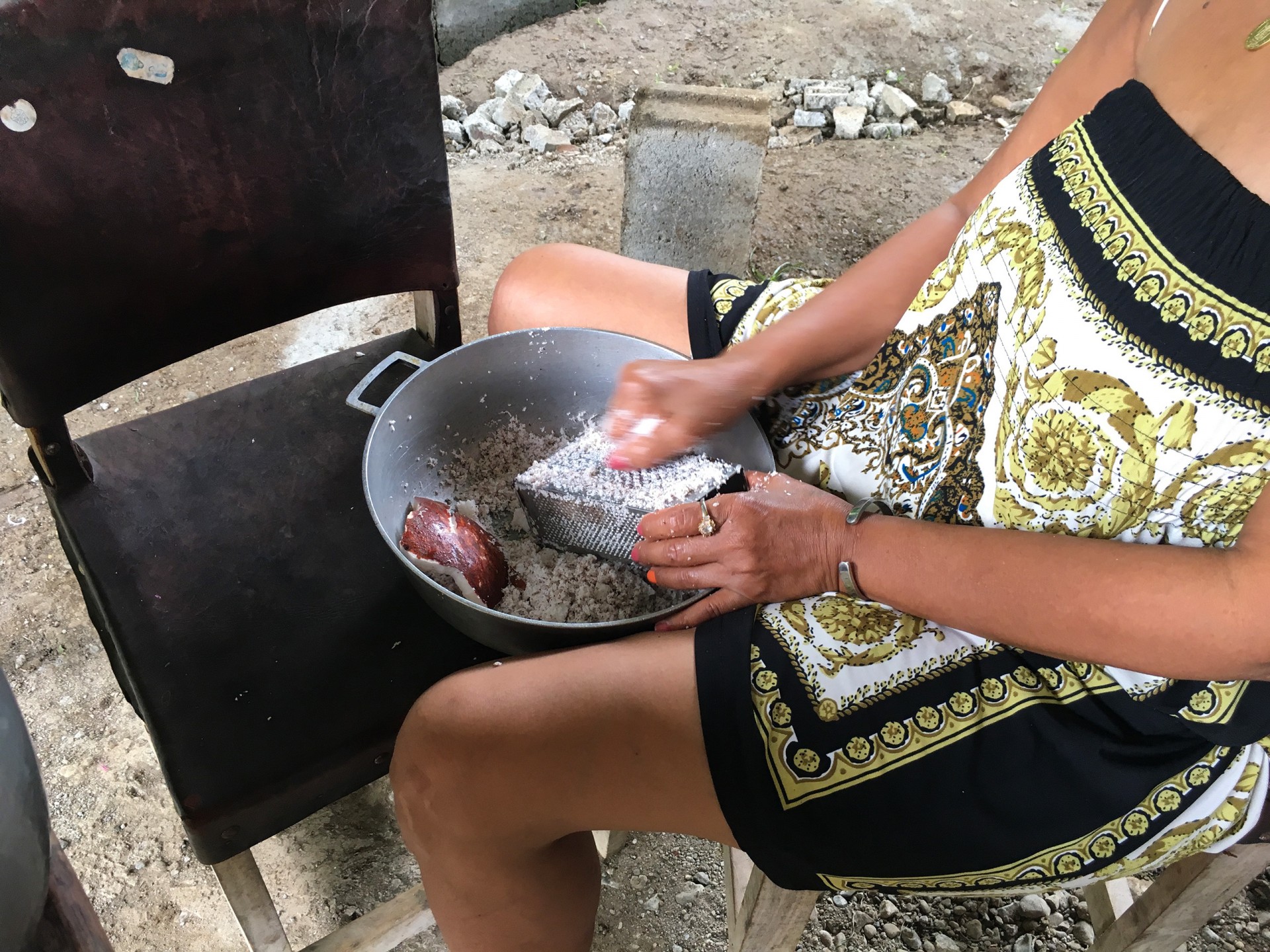 Mosquitoes and Mamallenas