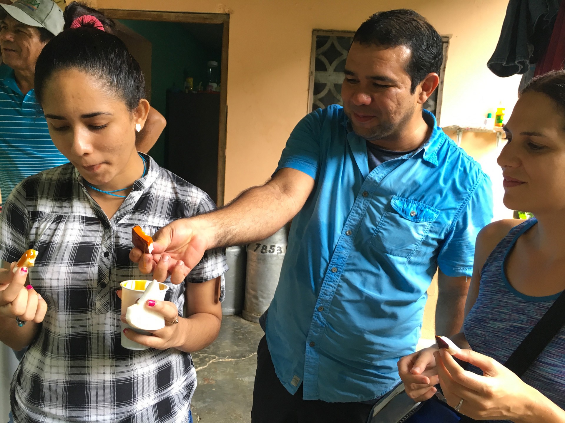 Mosquitoes and Mamallenas
