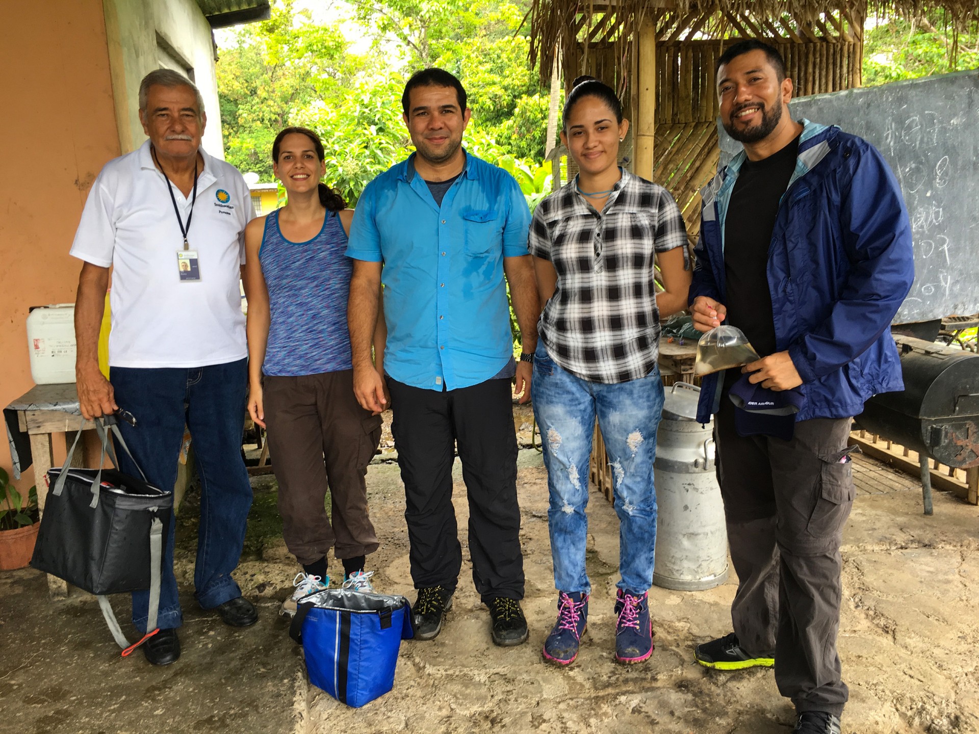 Mosquitoes and Mamallenas