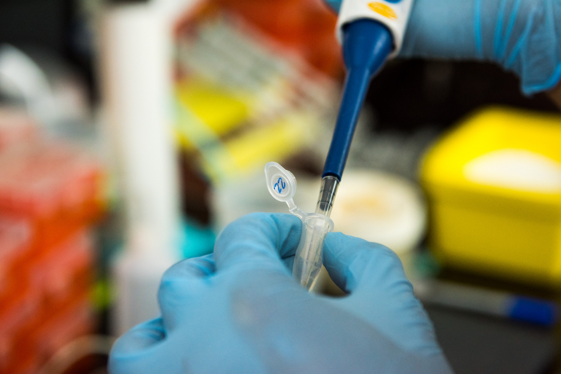 Molecular Lab