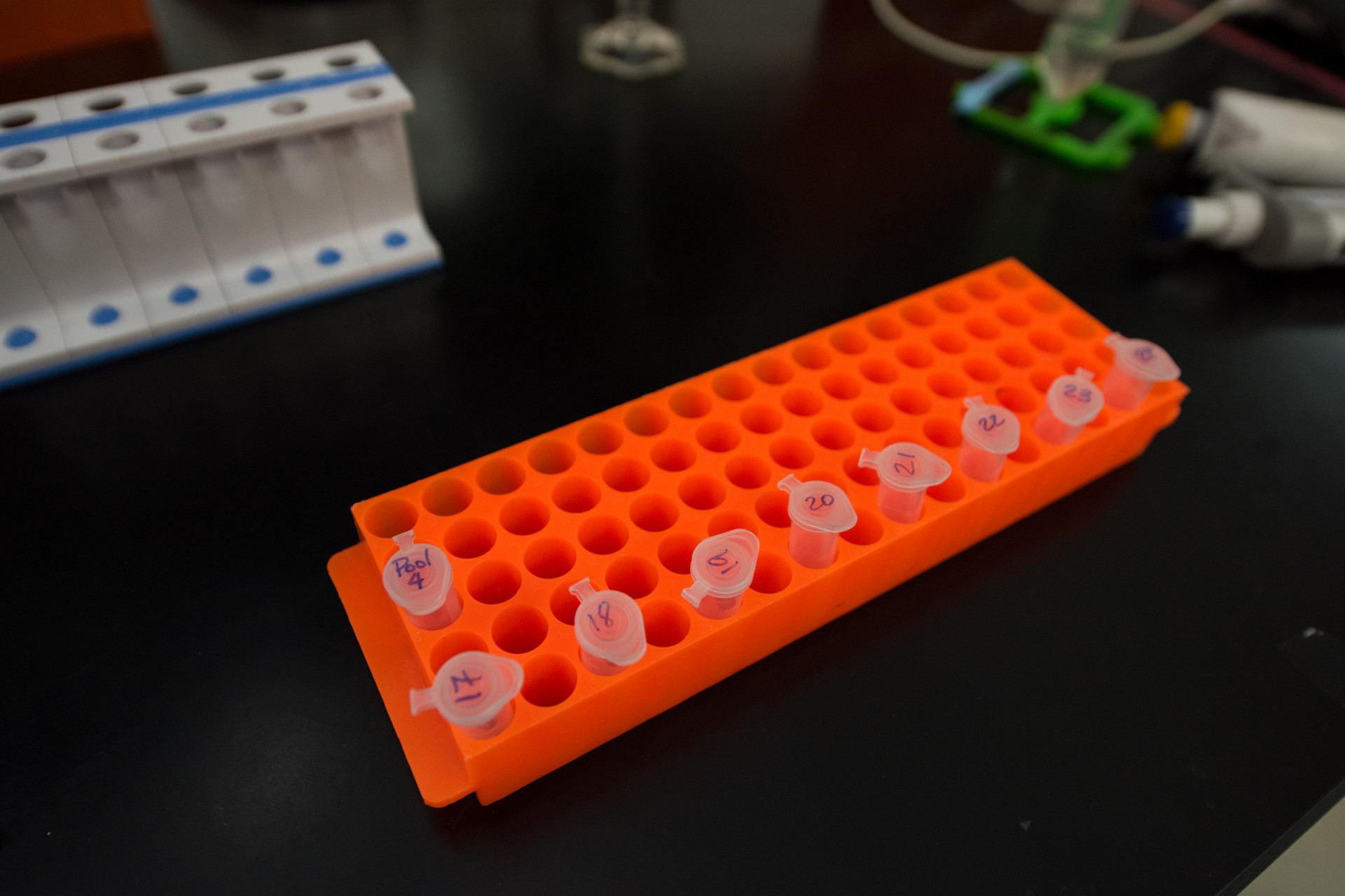 Molecular Lab