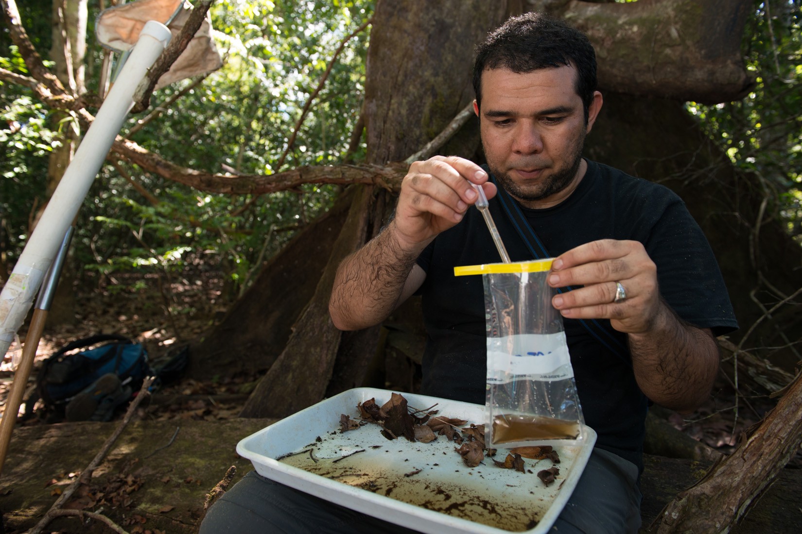 Jose Loaiza, collecting mosquitoes and larvae in Coiba National Park