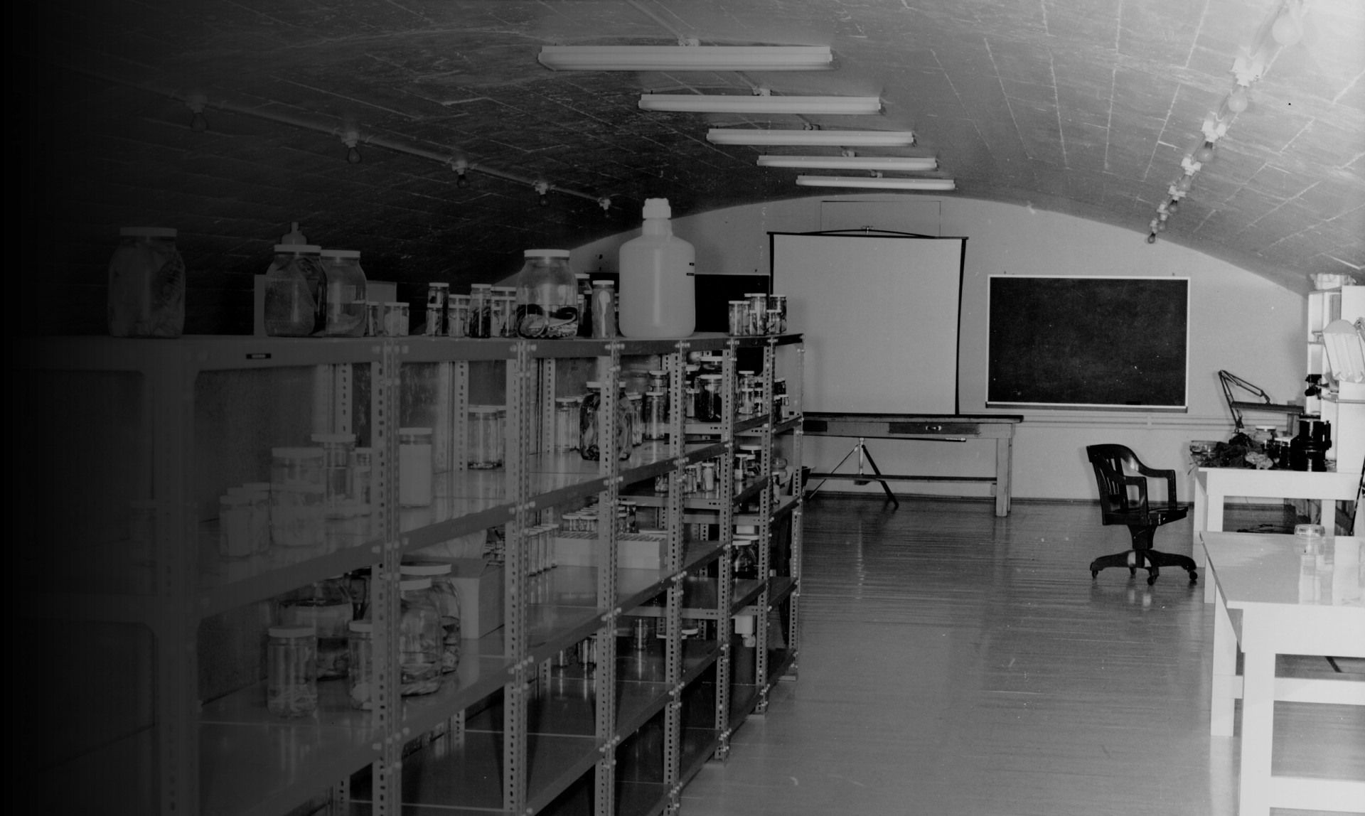 History 1963 History 1963
