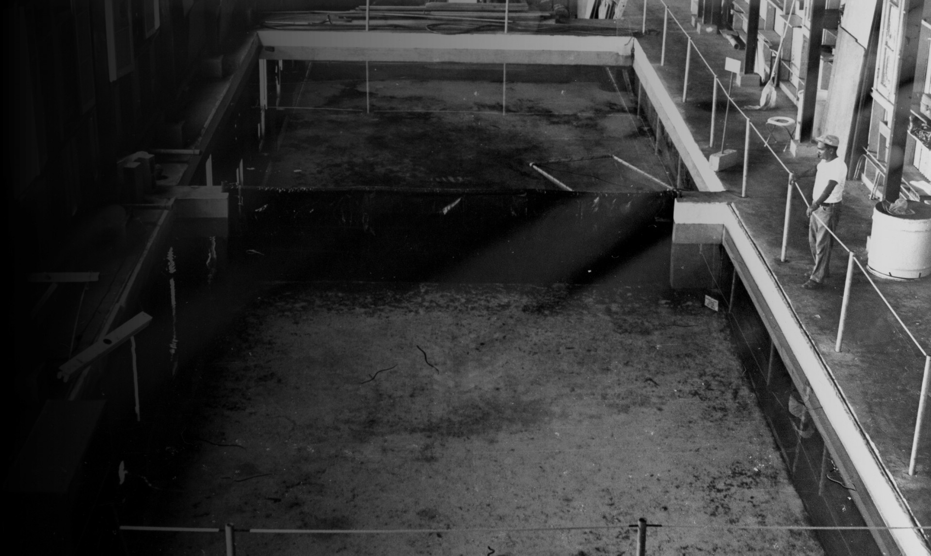 History 1964 History 1964