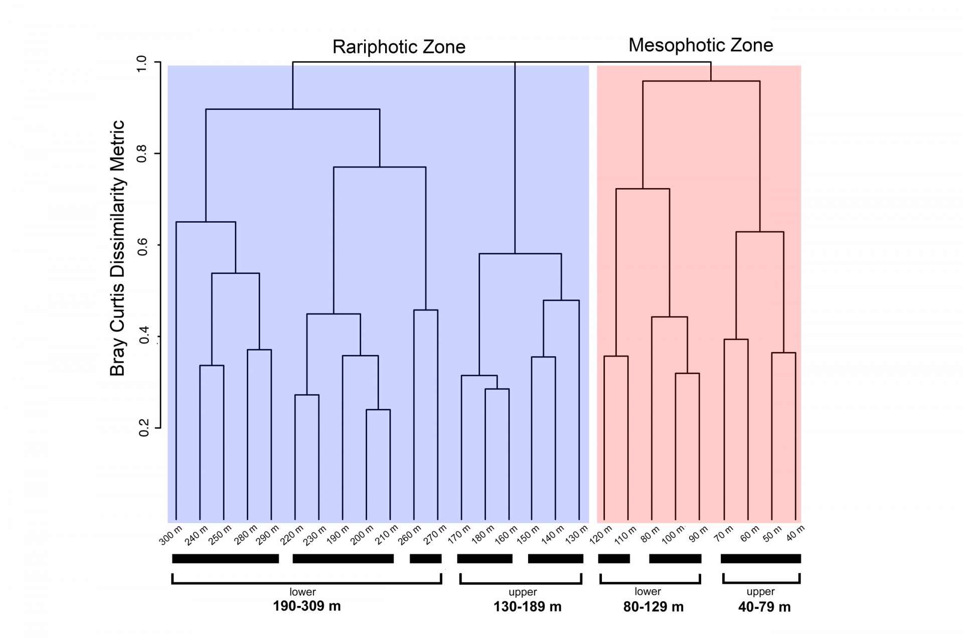 Hierarchical clustering dendrogram from the Bray-Curtis 