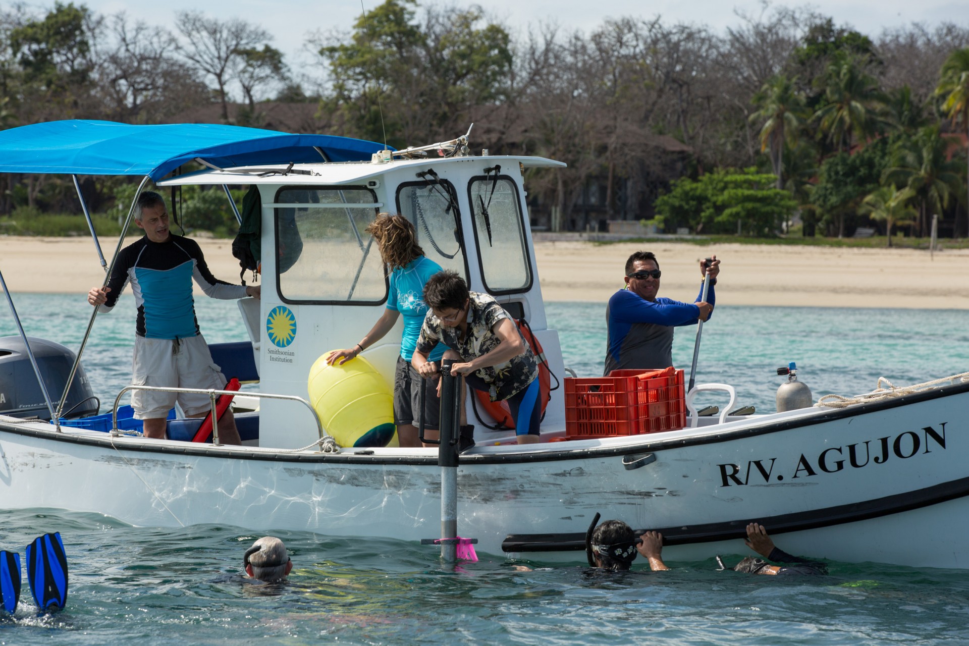 Smithsonian Tropical Research Institute