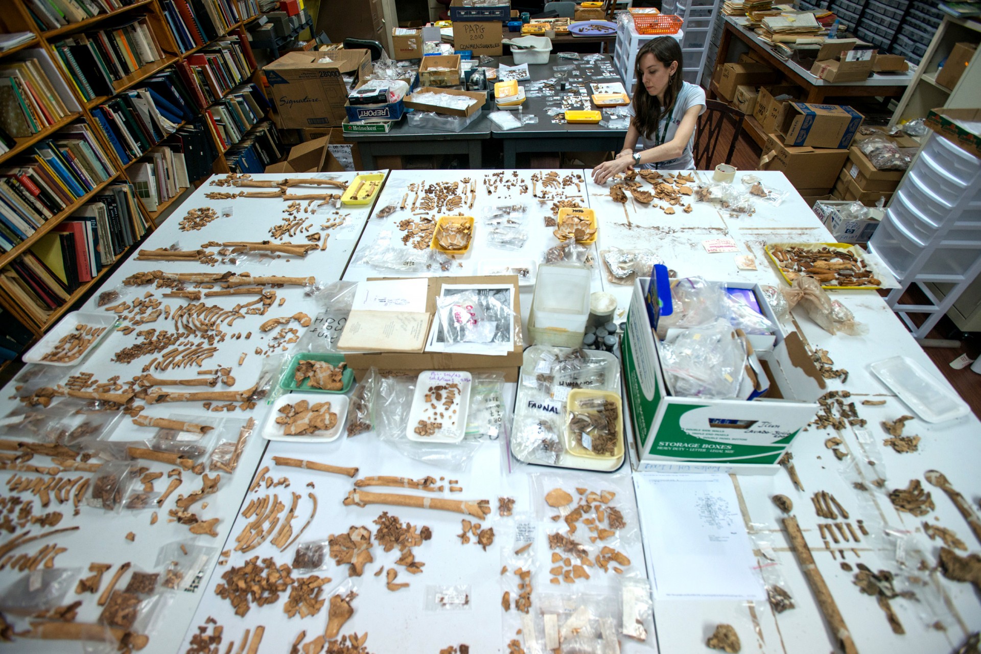 Pre-Columbian burials
