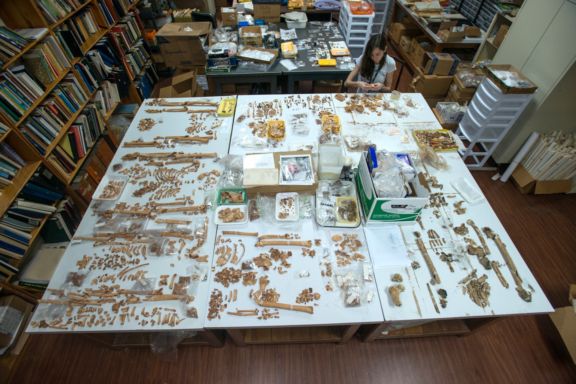 Pre-Columbian burials