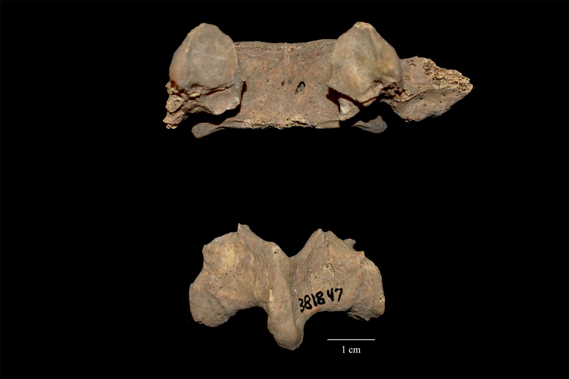 Pre-Columbian burials