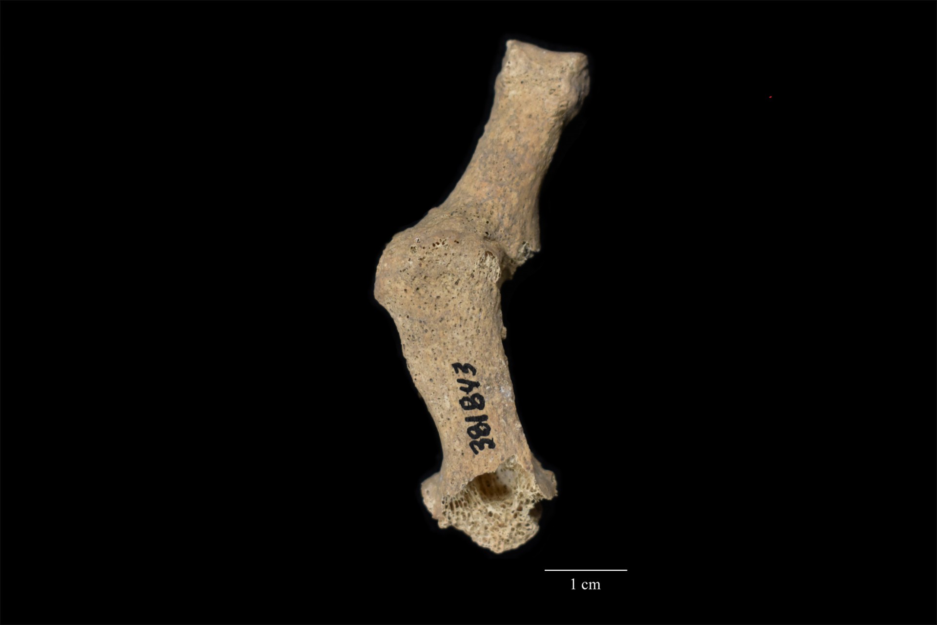 Pre-Columbian burials