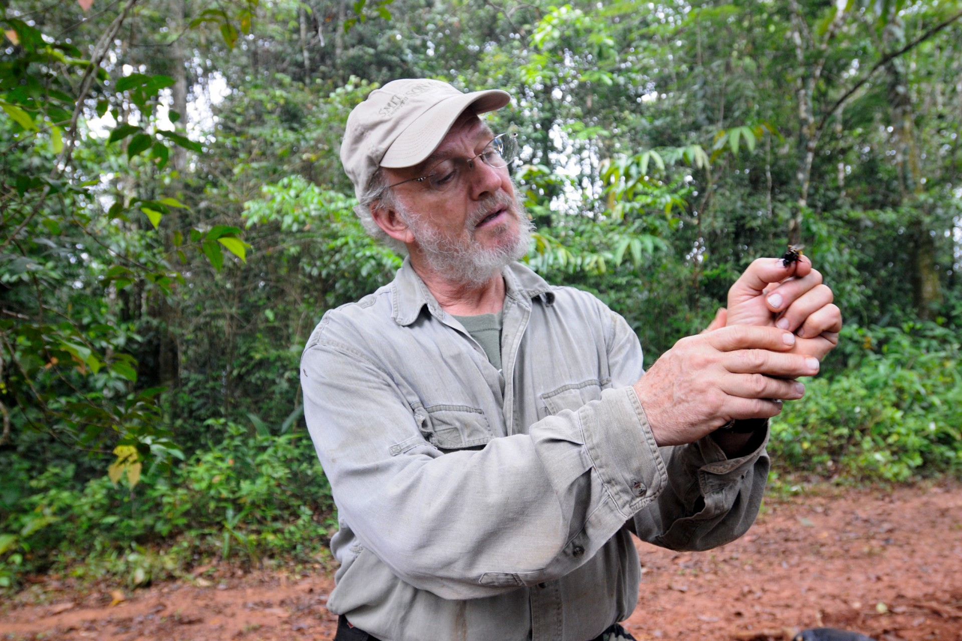 STRI staff scientist David Roubik