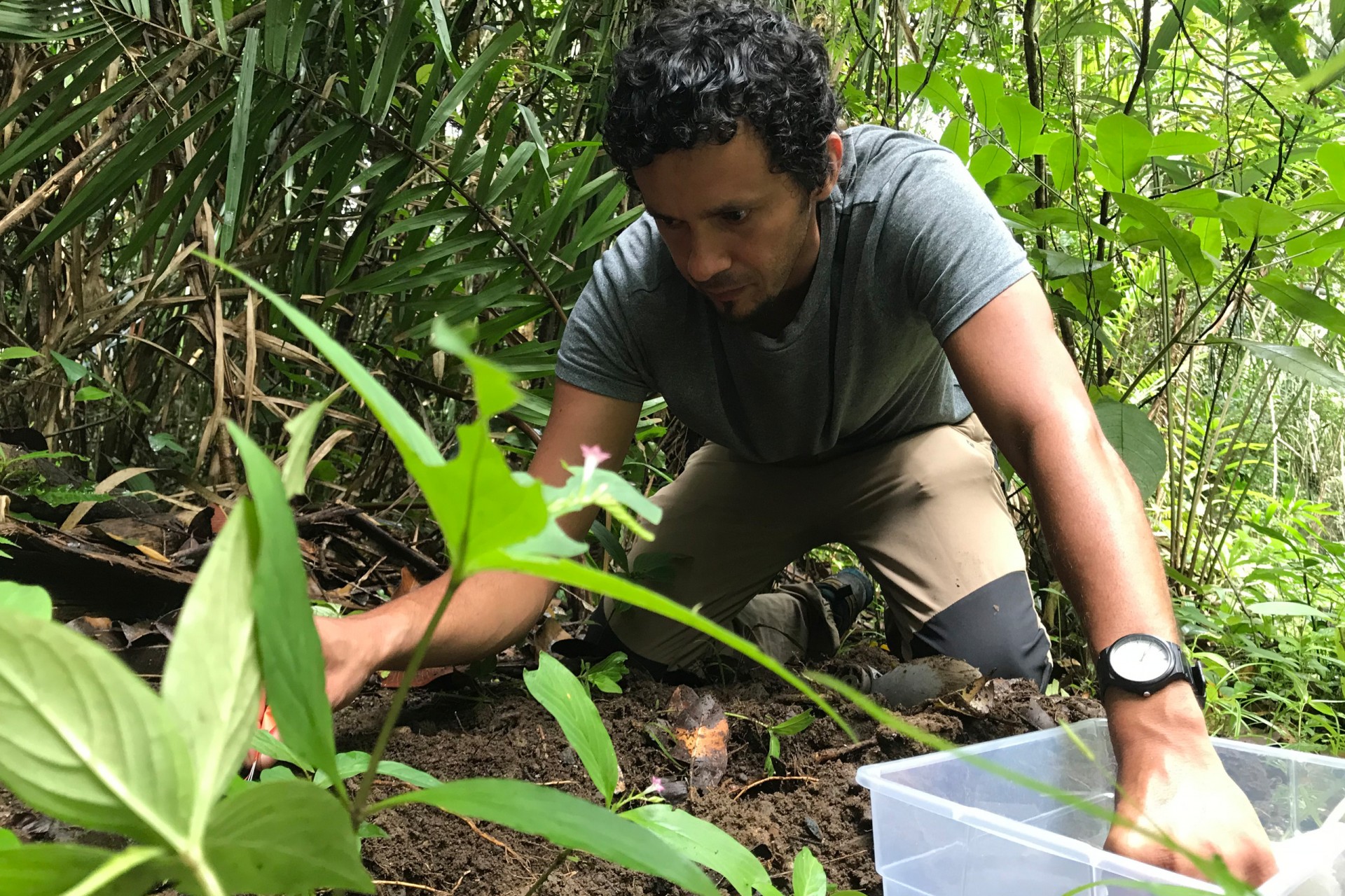 Smithsonian Tropical Research Institute