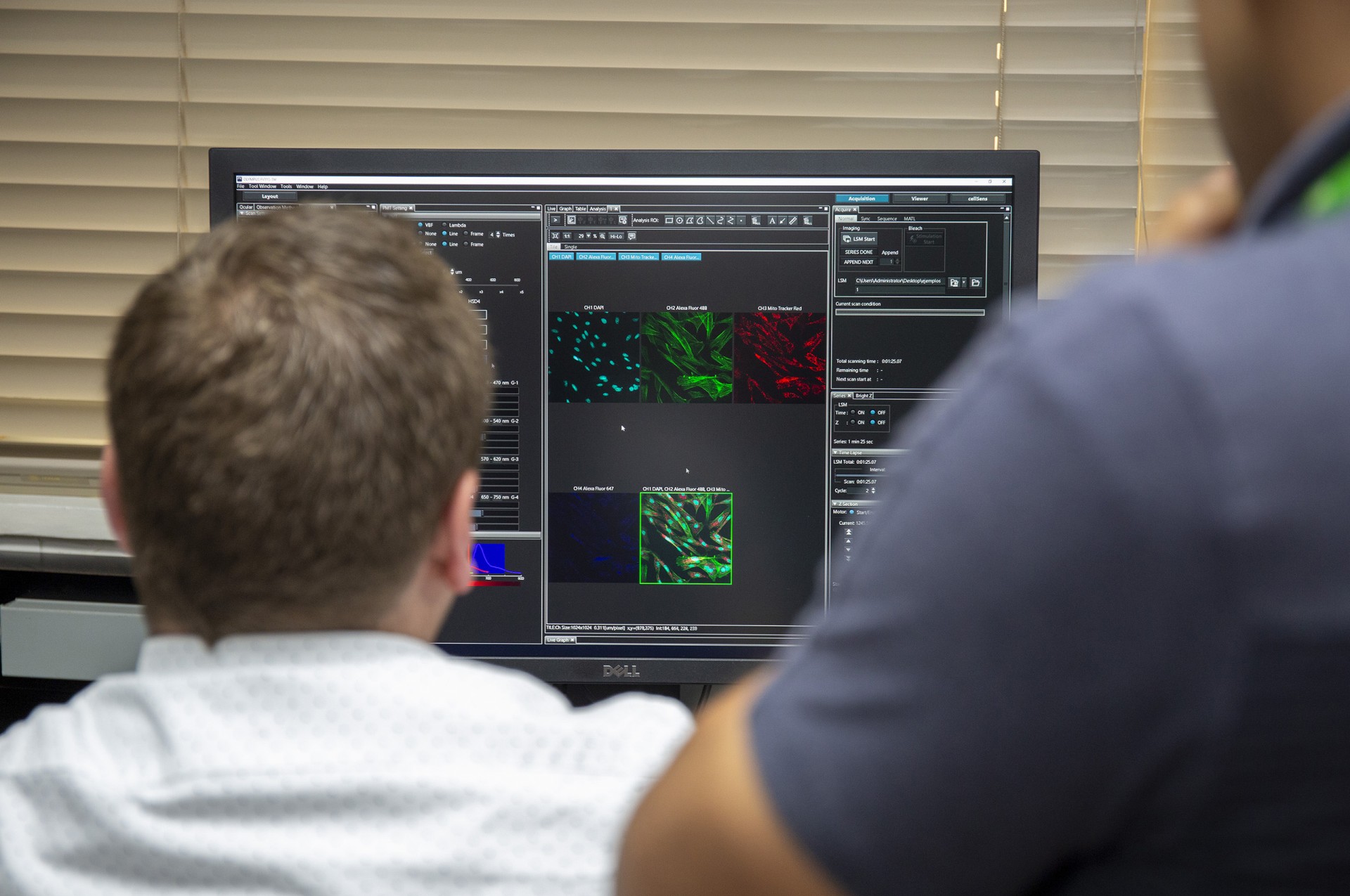 STRI has a new Laser scanning confocal microscope