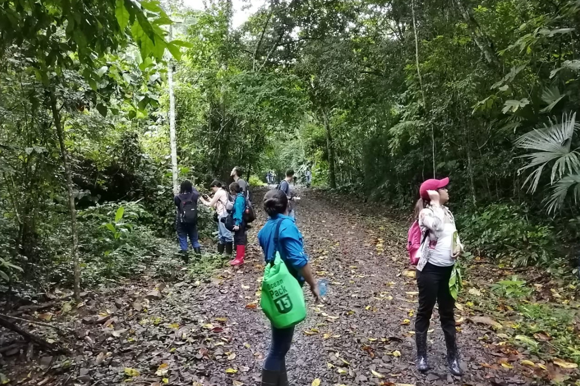 Smithsonian Tropical Research Institute