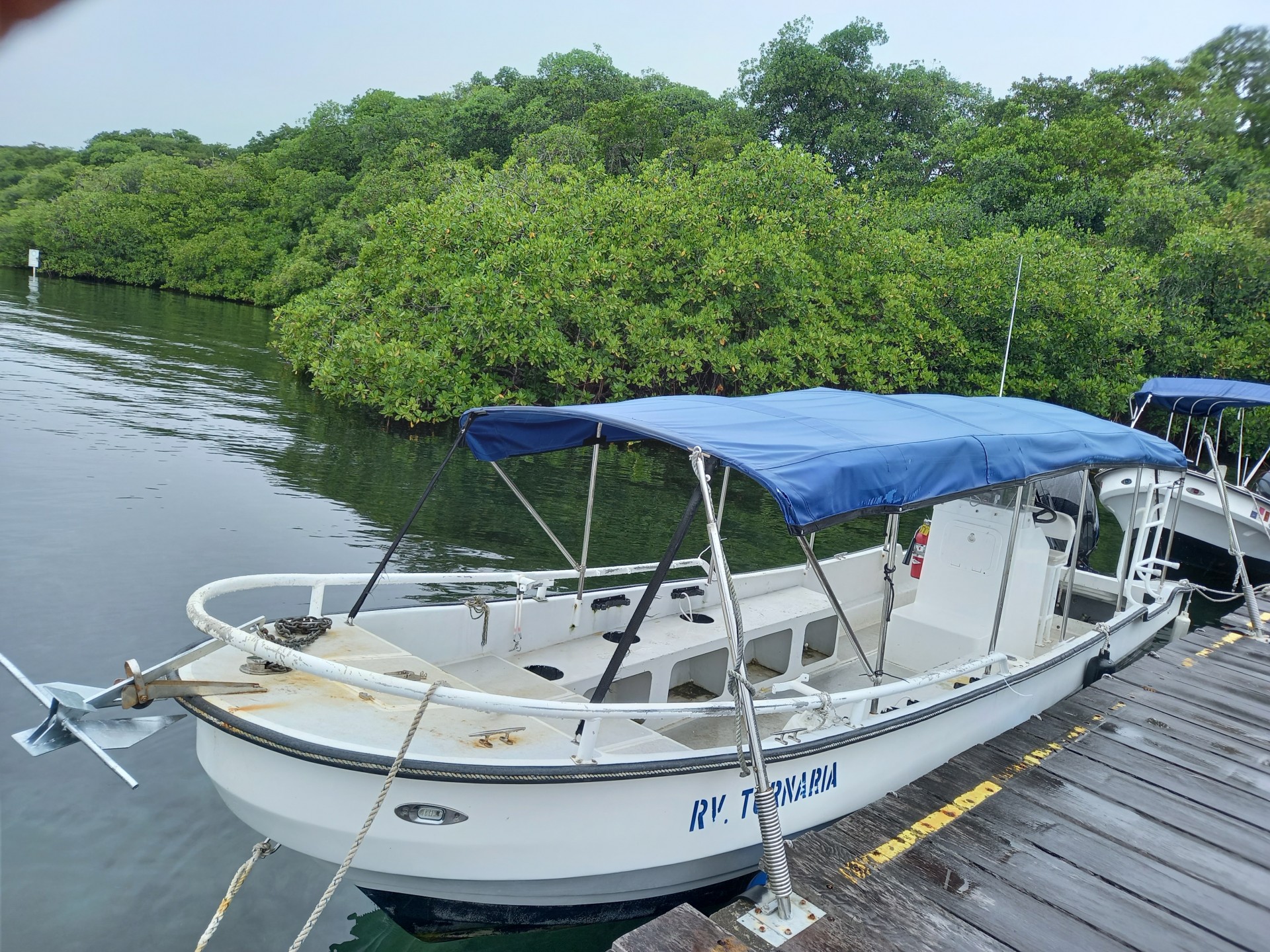 Smithsonian Tropical Research Institute