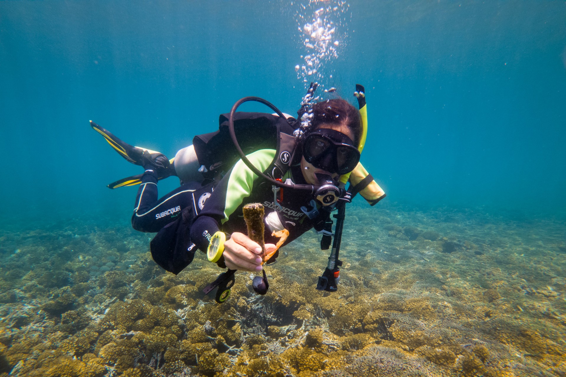 Smithsonian Tropical Research Institute