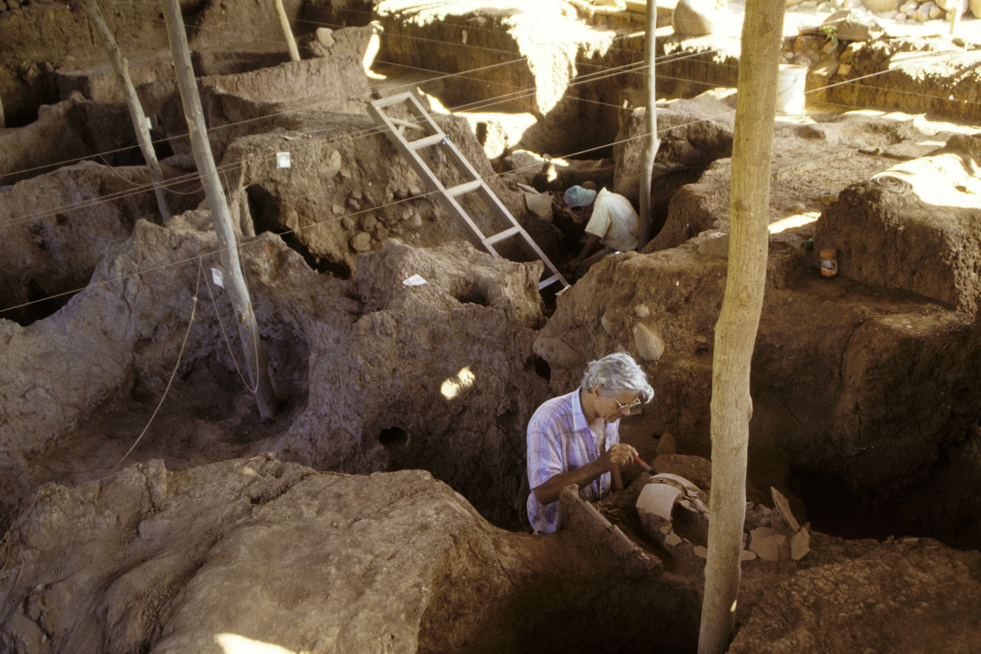 A life in archaeology