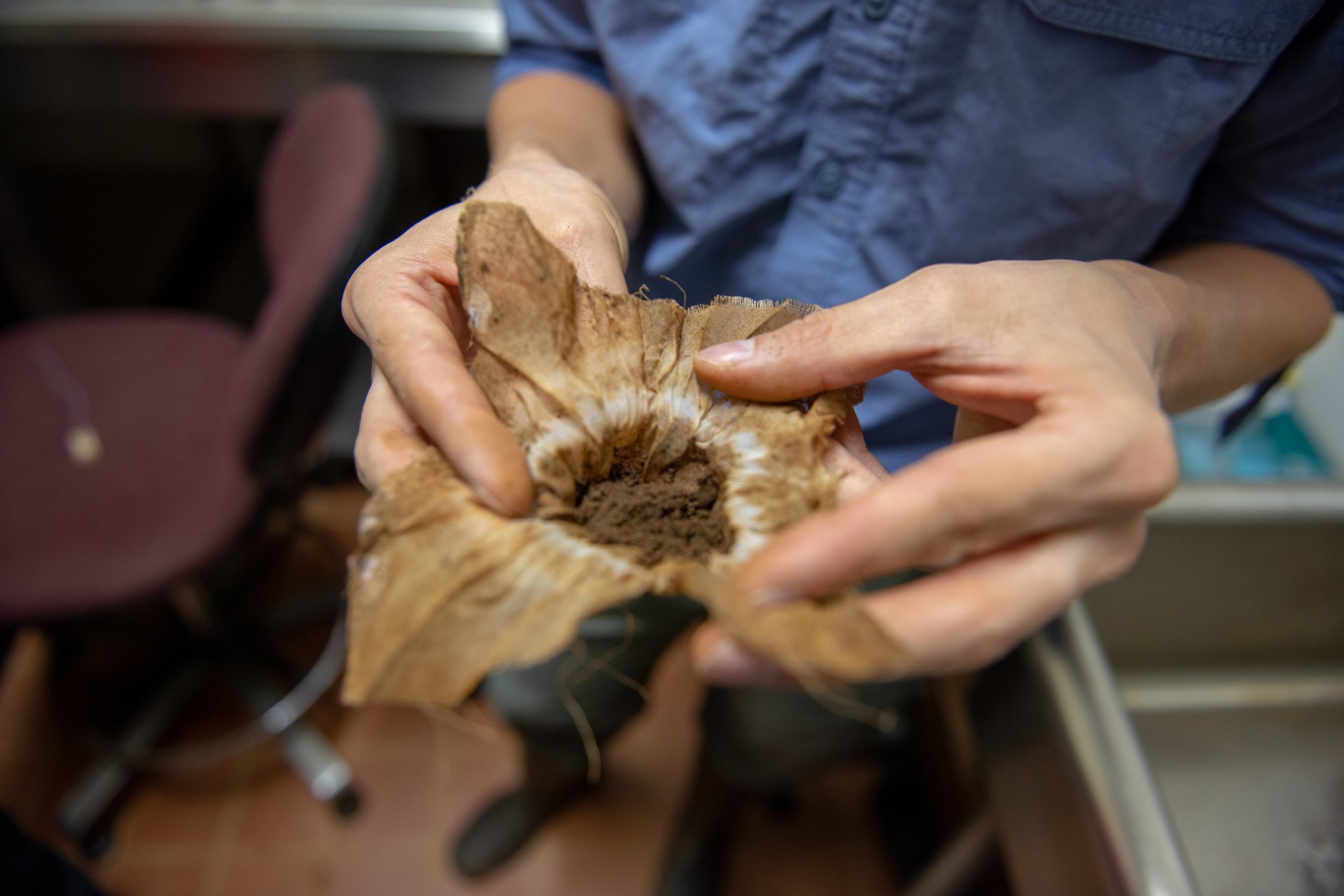 Smithsonian Tropical Research Institute