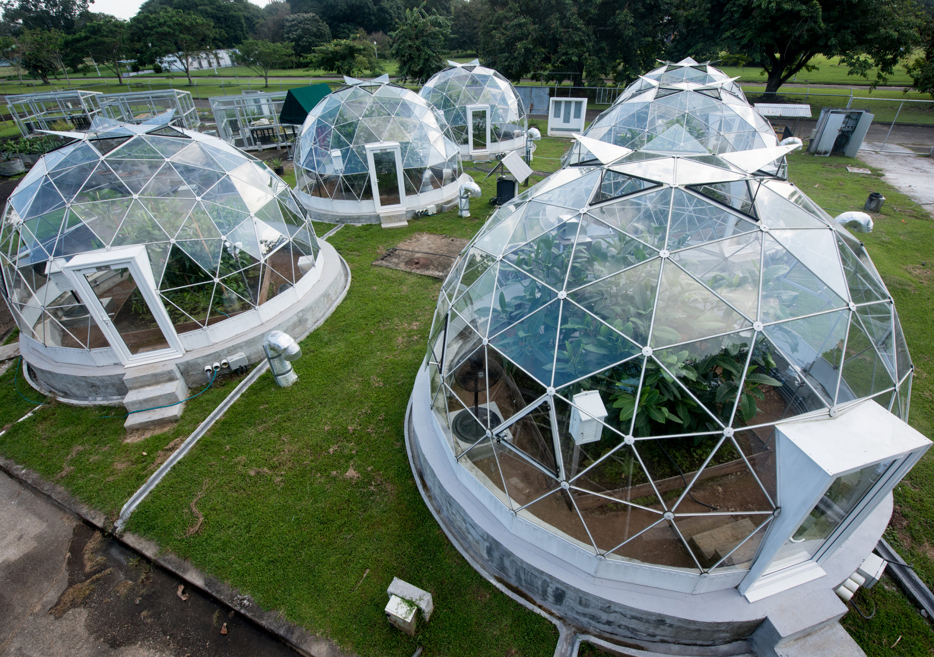 tropi_domes_pic_1